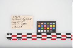 Etikett zu Bronzemehrkopfnadel (NHMW-PRAE-025906)